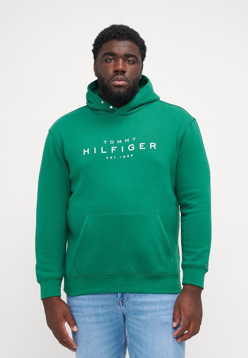 Tommy Hilfiger - HOODY - Sweatshirt - nouveau green, Enlarge