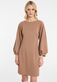 Robe marron, longueur genoux, avec un col rond, des manches longues bouffantes et une texture de tissu lisse ; présente des coutures décoratives sur le devant.