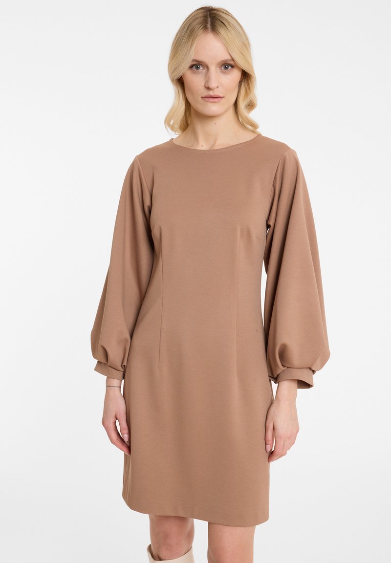 Robe marron, longueur genoux, avec un col rond, des manches longues bouffantes et une texture de tissu lisse ; présente des coutures décoratives sur le devant.