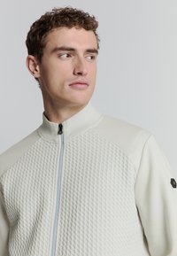 Lichtgrijze ritsjack met een gestructureerd ruitpatroon op de schouders en een gladde stof op het lichaam. Heeft een hoge kraag en een contrasterende rits.