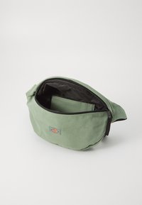 Grünes Canvas-Gürteltäschchen mit Reißverschluss, schwarzem Innenfutter und kleinem Innenfach. Auf der Vorderseite befindet sich ein Logopatch.
