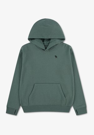 Abercrombie & Fitch ESSENTIALS HOODIE UNISEX - Mikina s kapucňou - laurel wreath