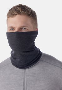 Smartwool THERMAL REVERSIBLE GAITER UNISEX - Tubehalstørklæder - north woods foggy pines