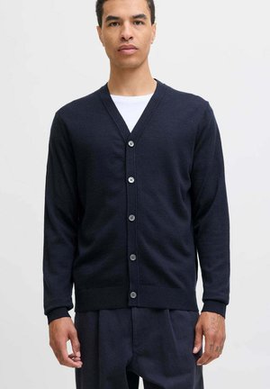 Cardigan - blu