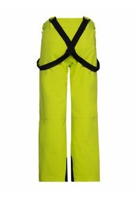 Protest BORK JR - Skibroek - lime rocks