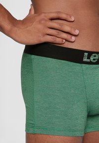 Grüne Boxershorts aus strukturiertem, einfarbigem Stoff mit einem schwarzen elastischen Bund, der mit Markenbeschriftung versehen ist.