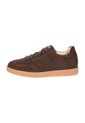 Sioux SNEAKER MELOSANA-704 - Sneaker low - dunkelbraun