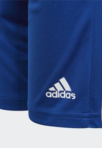 adidas Performance SQUADRA 21 Y - Short de sport - black/white