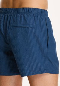 Shiwi Plaukimo šortai - royal blue