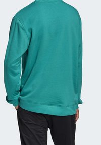 Turkos sweatshirt med långa ärmar, ribbade muddar och fåll. Tillverkad av mjukt material och har en enkel design på baksidan.