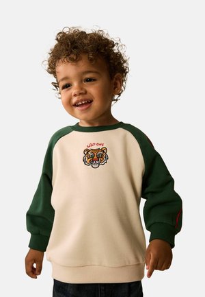 Next, REGULAR FIT - PRINTED CREW NECK SWEAT TOP UNISEX - Športni pulover - green white