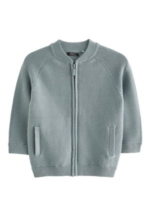 Joven sonriente con un suéter azul claro con cremallera sobre una camisa blanca y pantalones oscuros, de pie frente a un fondo beige.