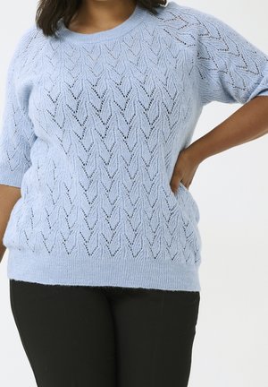 Kobieta w jasnoniebieskim, krótkim swetrze dzianinowym z wzorem liści, w połączeniu z czarnymi spodniami, opierająca rękę na biodrze na białym tle.