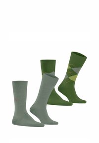 Set aus vier Socken in Grüntönen. Zwei einfarbige Socken und zwei mit einem Rautenmuster in Grün- und Grautönen, die ein farbenfrohes Akzentdetail aufweisen.