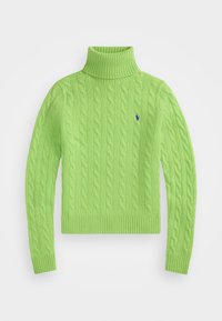 WOOL CASHMERE CABLE ROLL NECK JUMPER - Neule - apple green