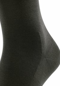 FALKE CLIMA  - Calze - brown