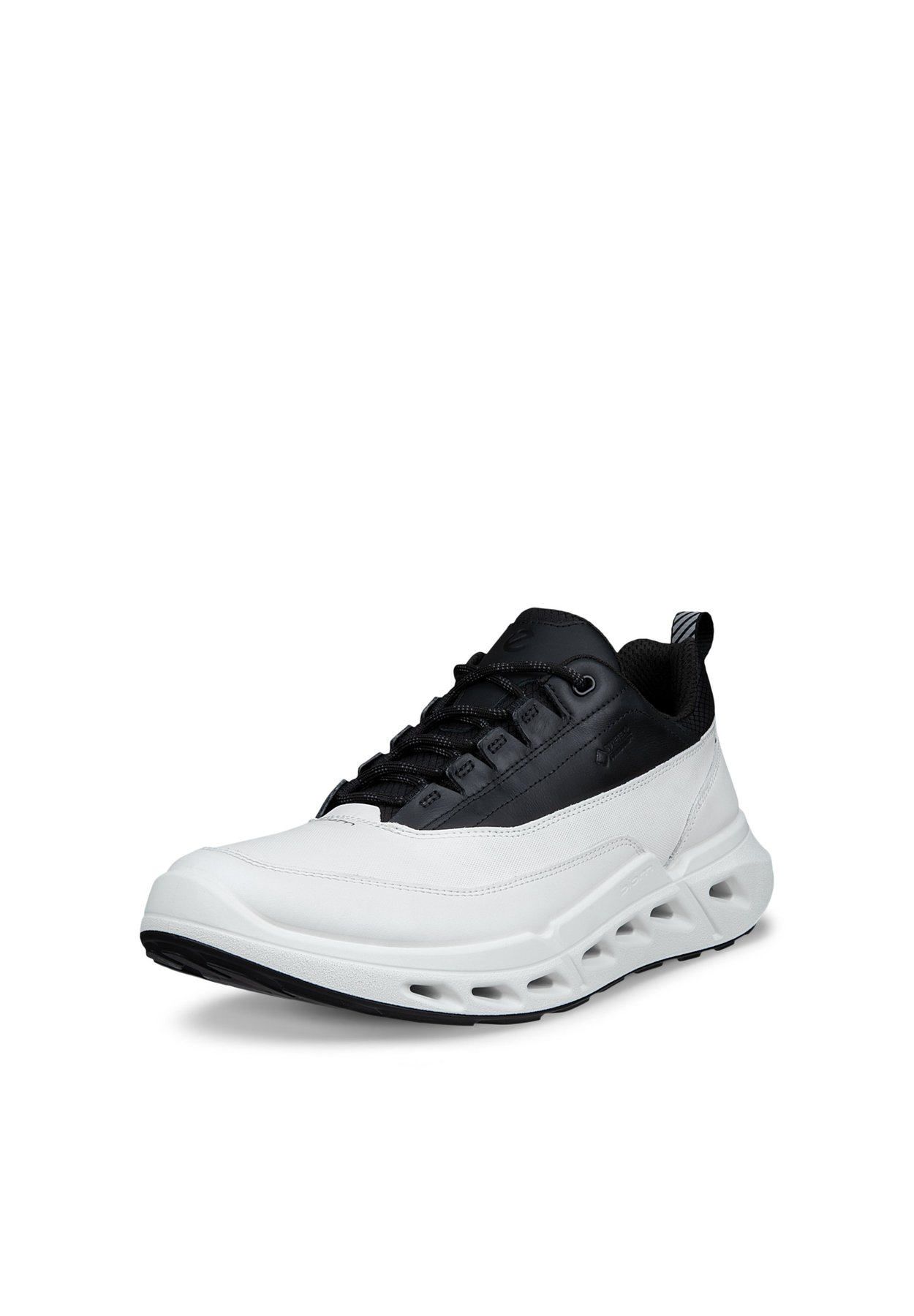 BIOM 720