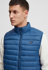 Mann trägt eine blaue gesteppte ärmellose Weste über einem weißen Langarmshirt, blickt nach links mit neutralem Ausdruck vor hellem grauem Hintergrund.