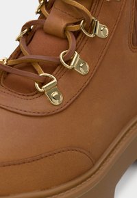Bottines en cuir marron avec quincaillerie dorée, présentant une pointe arrondie, des coutures proéminentes et plusieurs crochets pour un laçage sécurisé.