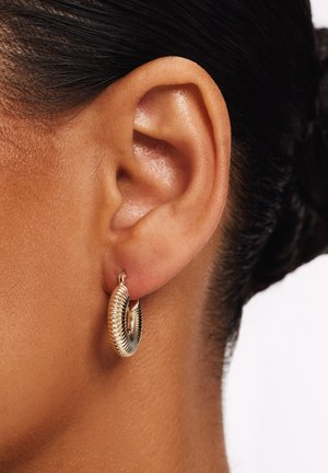 Oorringen in goudkleur met een geribbelde textuur en een spiraalvormig ontwerp. De oorringen zijn bevestigd aan een klein hefboomsluiting.