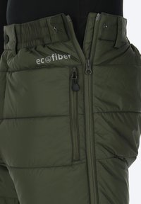 Swedemount ÖSTERSUND WARM PANT - Pantalones montañeros largos - olive
