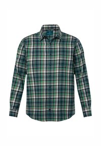 Camicia a quadri nei toni di verde, blu e grigio, con colletto a punta e maniche lunghe. Presenta una tasca sul petto e bottoni neri.