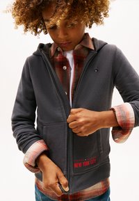 Grå hættetrøje med lynlås og forlommer, med en rød "TOMMY HILFIGER NEW YORK CITY" grafik. Båret over en rød ternet skjorte.
