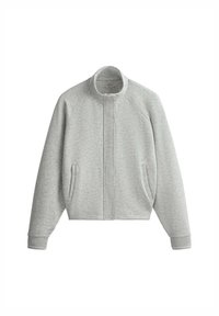 Veste gris clair zippée avec col montant, manches longues et poches avant, présentée sur fond blanc.