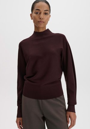 Vrouw die een donkerbruine trui met lange mouwen en een hoge hals draagt, en een grijze broek tegen een effen lichte achtergrond.