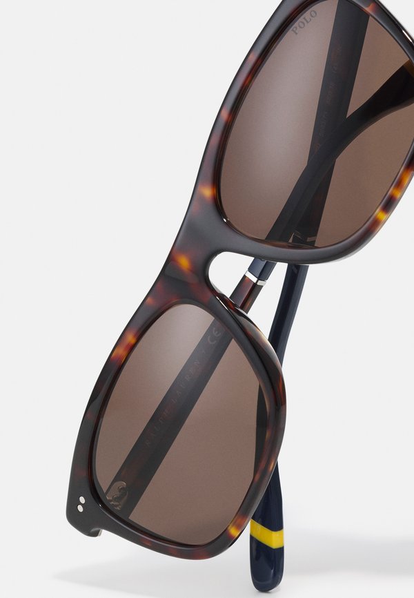 Sunglasses - shiny dark havana2