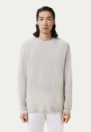 Hellgraues Langarm-Sweatshirt aus weichem Stoff mit Rundhalsausschnitt, lockerer Passform und gerippten Bündchen. Minimalistisches Design, keine Muster.