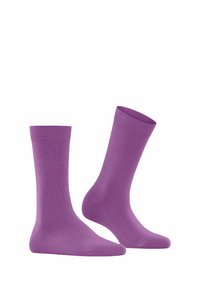 Une paire de chaussettes unies violettes arrivant au mollet, l'une droite et l'autre inclinée, sur un fond blanc.