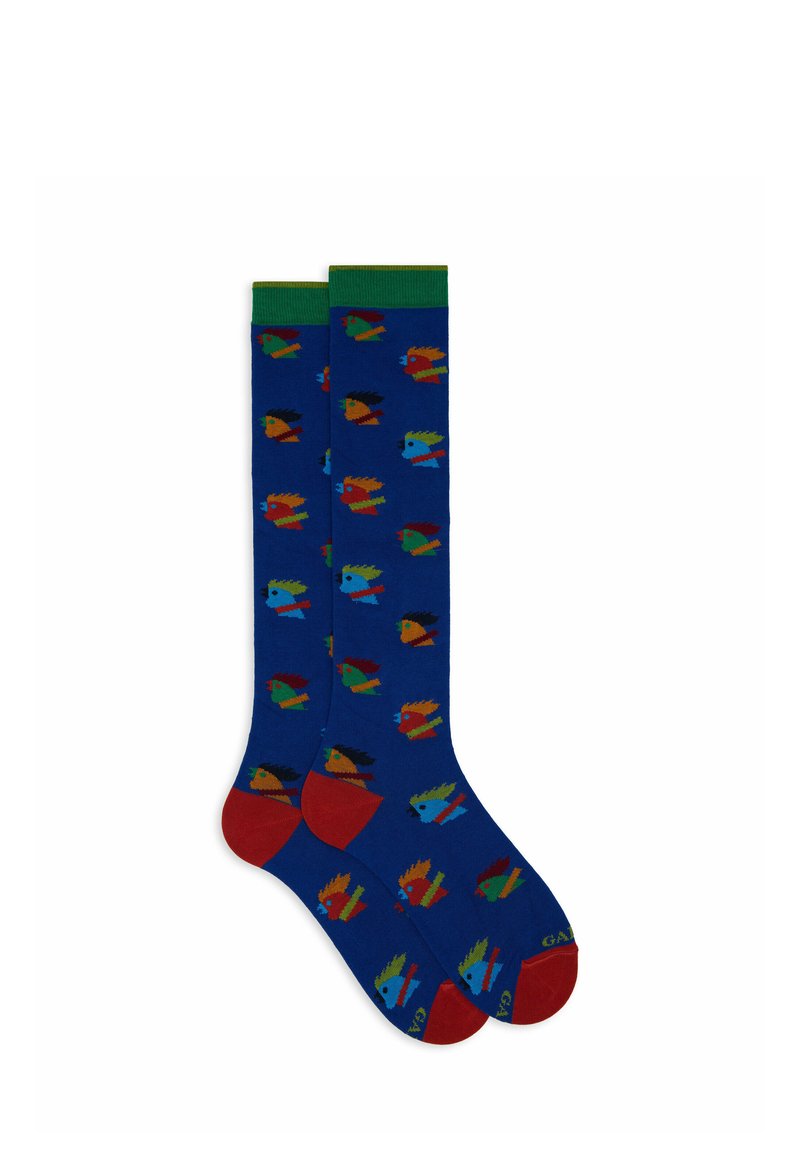 Gallo WITH HEN MOTIF - Calze - copiativo