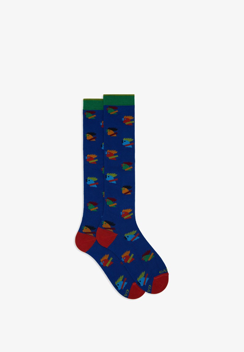 Gallo WITH HEN MOTIF - Calze - copiativo