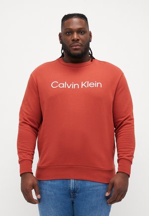 HERO LOGO COMFORT - Sweatshirt - barn red