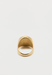 Anello sigillo in oro levigato con una superficie superiore piatta e curva su uno sfondo bianco semplice.