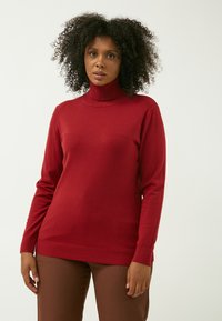 Roter Rollkragenpullover mit langen Ärmeln, gerippten Bündchen und Saum, aus weichem Material. Getragen mit braunen Hosen, vor einem einfarbigen Hintergrund.