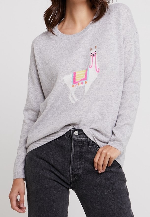 Pull gris avec motif lama, présentant un motif brodé coloré. Coupe décontractée, encolure ronde et poignets côtelés. Associé à un jean foncé.