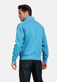 Lichtblauwe zip-up sweatshirt met een hoge kraag, ribbelmanchetten en -zoom, zachte textuur en subtiel heatherpatroon, gecombineerd met donkere jeans.