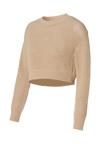 Häkeln-gestrickter beiger Pullover mit Rundhalsausschnitt und langen Ärmeln, ausgestattet mit einem verkürzten Design und geripptem Saum. Strukturierter Stoff.