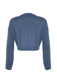 Pull court bleu tricoté avec manches longues à motif torsadé et poignets et ourlet côtelés, vu de dos.