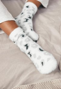 Next 2 PACK - Calze - white grey animal