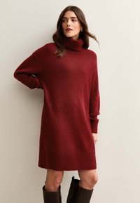 Robe en tricot à col roulé de couleur rouge profond, dotée de manches longues, d'une coupe décontractée et d'un ourlet et de poignets en côtes. Texture douce avec un minimum d'ornementation.