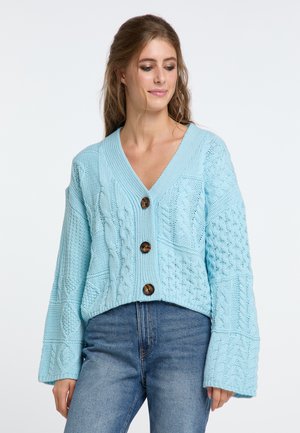 Světle modrý pletený cardigan s výstřihem do V, zdobený texturovanými kabely a třemi velkými hnědými knoflíky. Cropped délka a široké rukávy.
