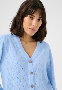 Cardigan tricoté bleu clair avec un col en V, fermeture à boutons avec des boutons gris et un motif texturé. Matière douce avec une coupe décontractée.