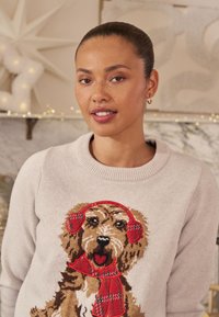 Sweter dziergany w jasnoszarym kolorze z haftowanym wzorem psa w czerwonych nausznikach i czerwonym szaliku. Teksturowana tkanina, okrągły dekolt.