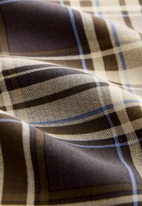 Next REGULAR FIT - TIE FRONT TIERED LONG SLEEVE - Dienas kleita - brown check