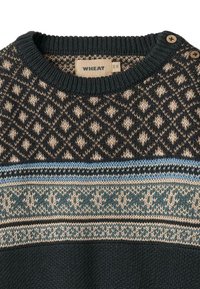 Strickpullover in dunkelgrün und beige mit Diamantmustern, hellblauen Streifen, Rundhalsausschnitt und Knopfdetails an der Schulter.