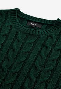 Pull vert foncé à torsades avec col rond côtelé et étiquette de marque noire "NEXT" à l'intérieur du col.