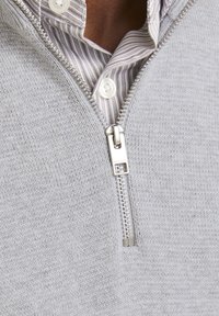 Grijze zip-up trui gemaakt van zachte, gestructureerde stof. Heeft een zilveren rits en een gestreepte overhemd met kraag eronder.